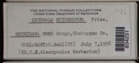 Image Associated With the Occurence